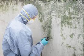 Mold Removal for HVAC Installations in Conesus Lake, NY